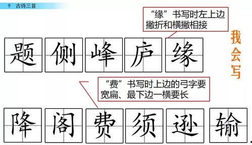 娱乐吃瓜四字成语大全及解释
