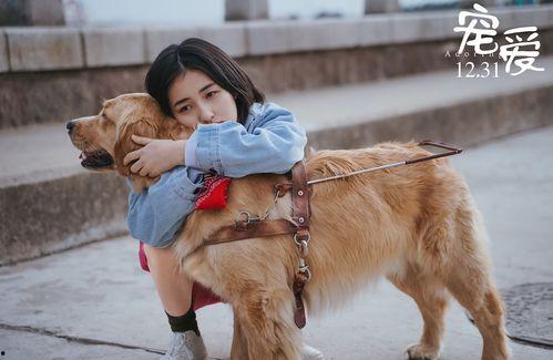 宠爱里的动物花絮,动物明星们的温馨花絮瞬间