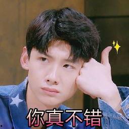 白敬亭骄傲表情包